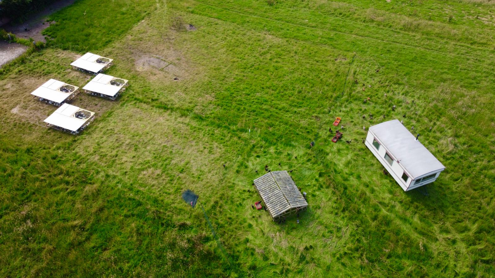 Luchtfoto van mobiele kippenstallen op vers grasland, met kippen die vrij rondscharrelen