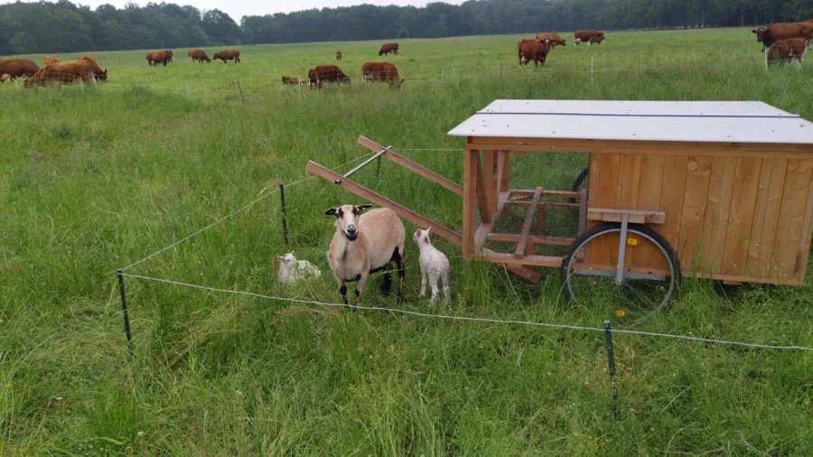 De mobiele Chickshaw in de weide, uit de digitale gids