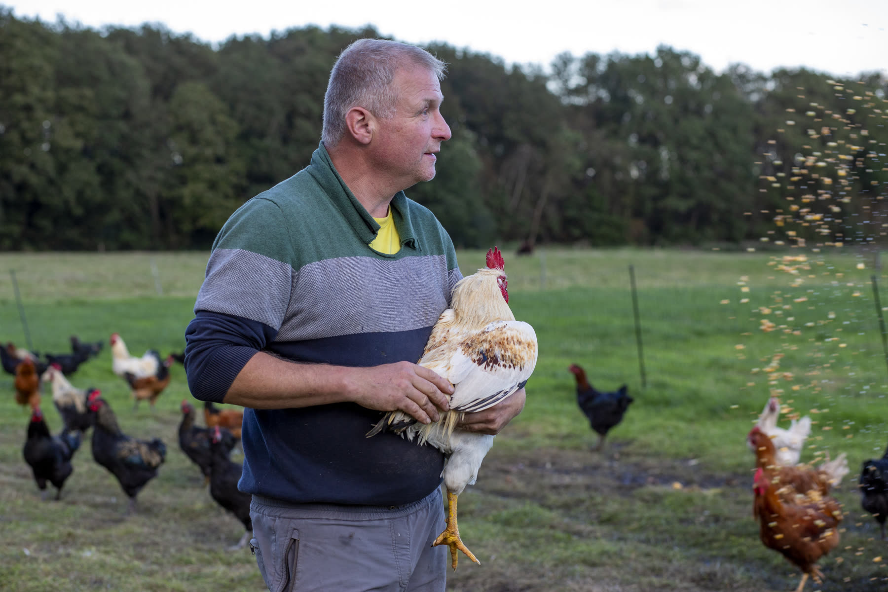 Boer met een kip op de arm