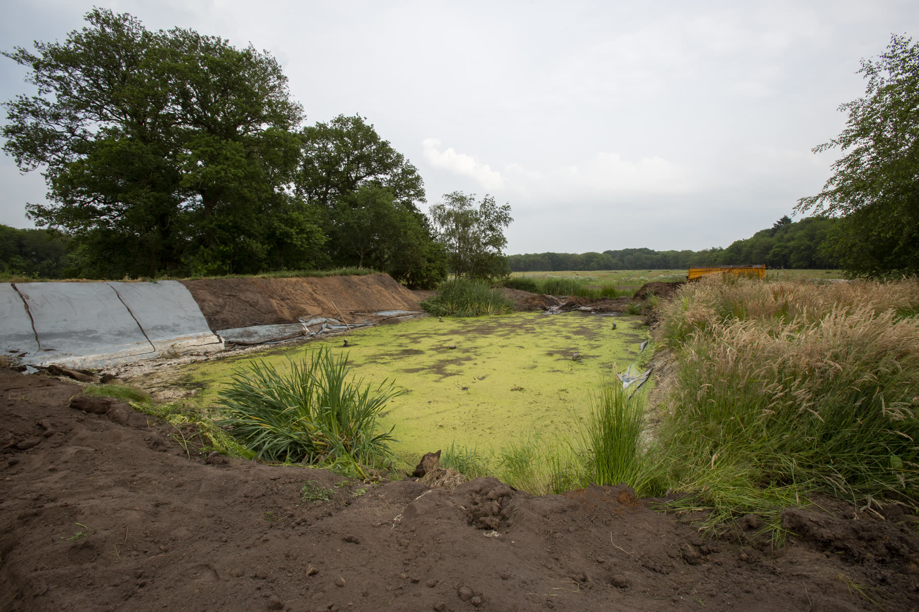 Graafmachine legt de natuurvijver aan op de plek van het oude mestbassin