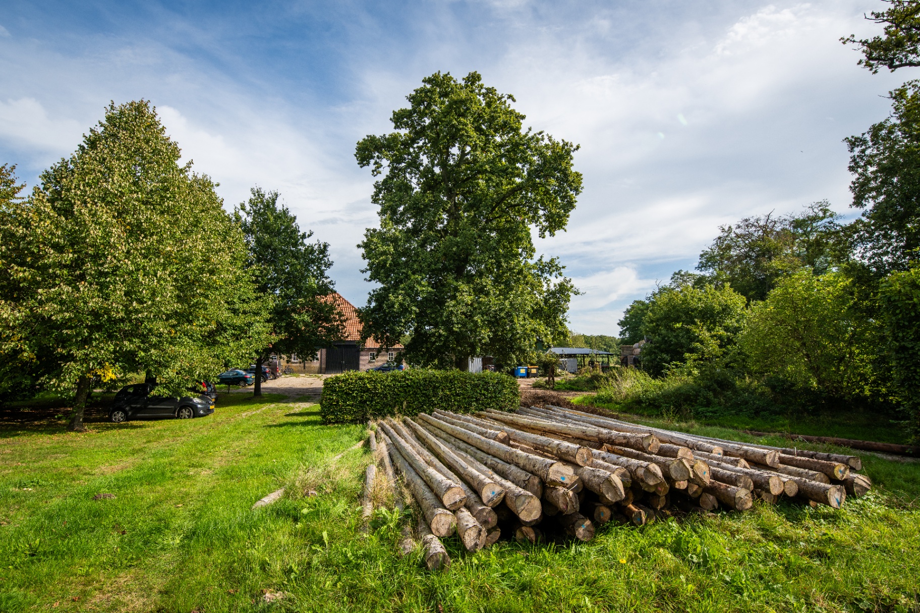 Boomstammen uit eigen bos op het erf, klaar voor zaagwerk