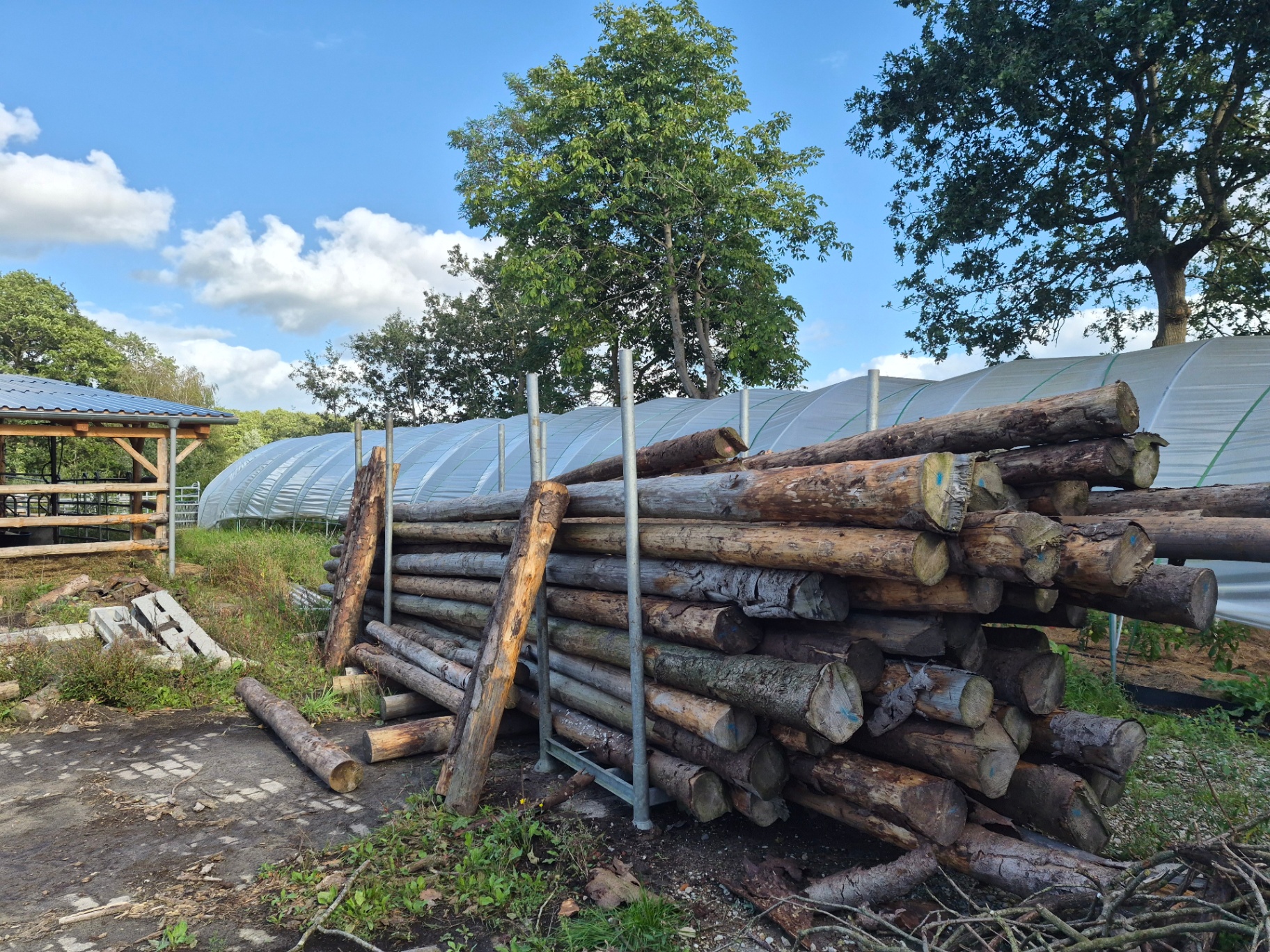 Houtstapel van gedunde bomen uit eigen bos, klaar voor verwerking op het erf
