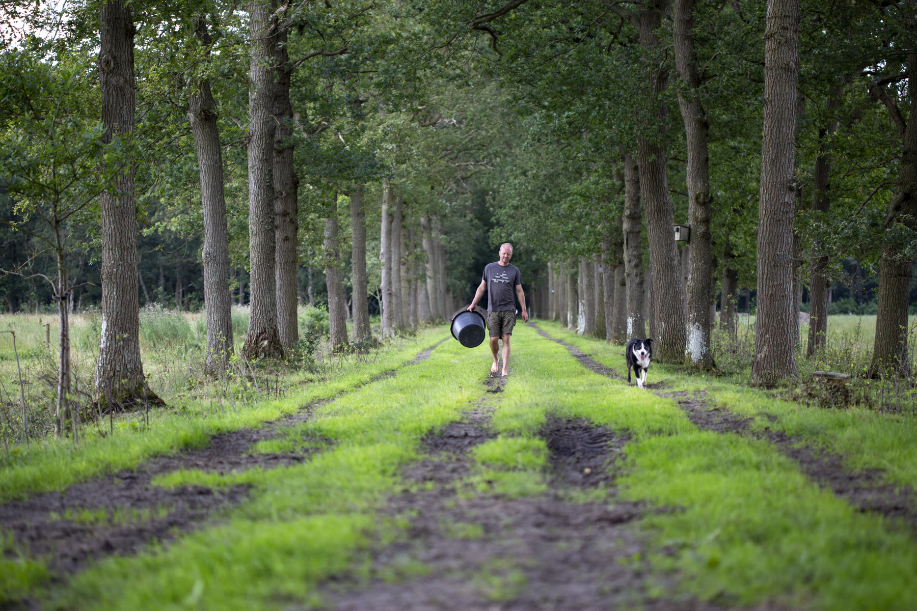 Boslaan waar deelnemers eetbare paddenstoelen leren herkennen