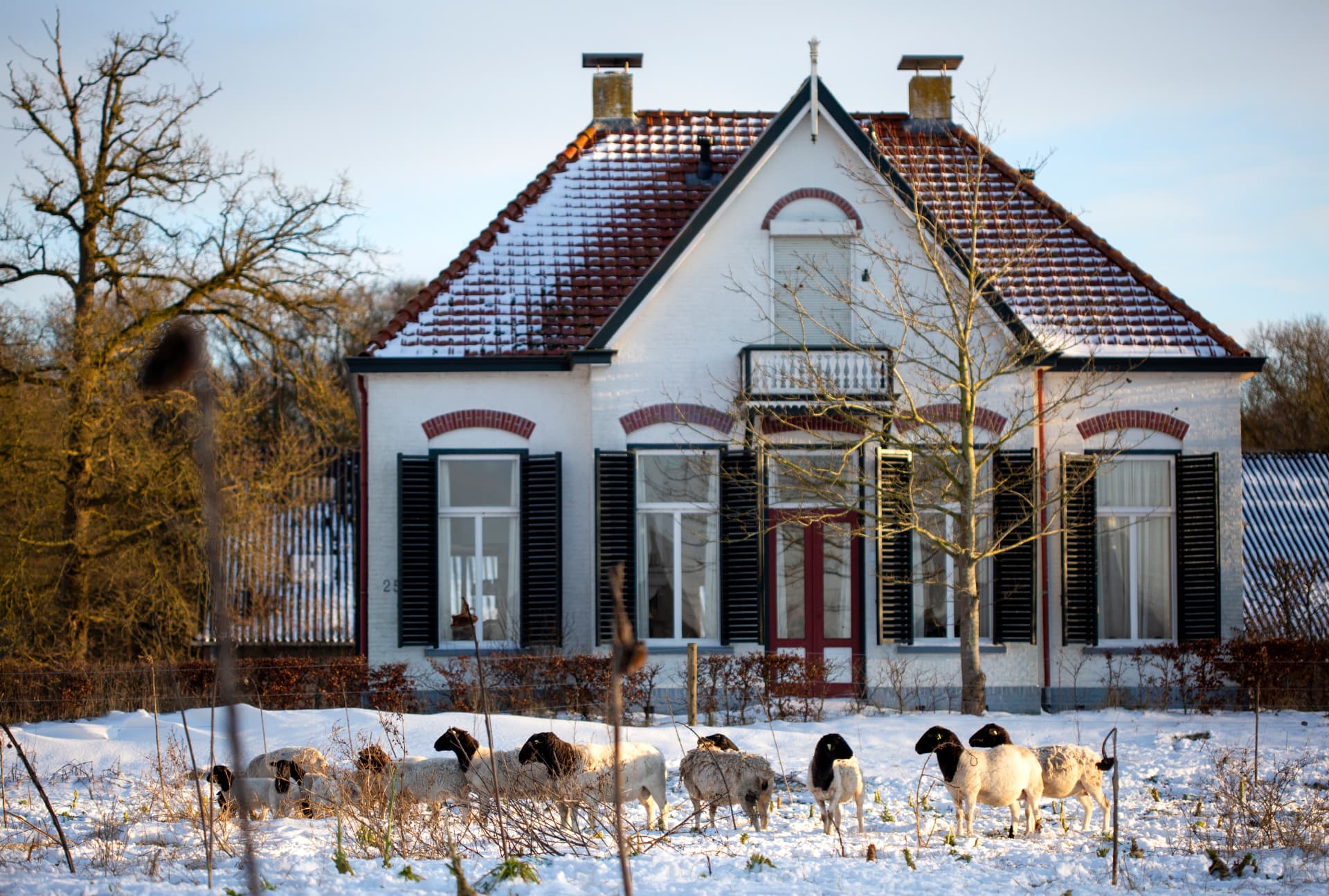 De boerderij in de sneeuw met schapen ervoor
