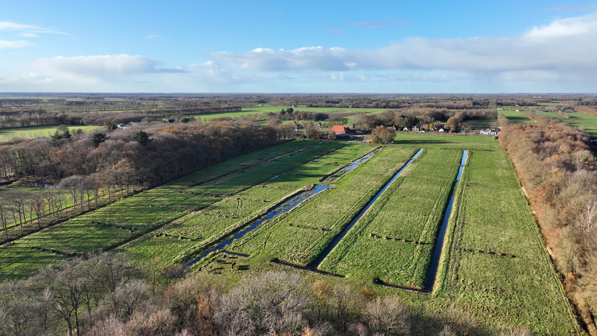 Agroforestry & syntropische landbouw
