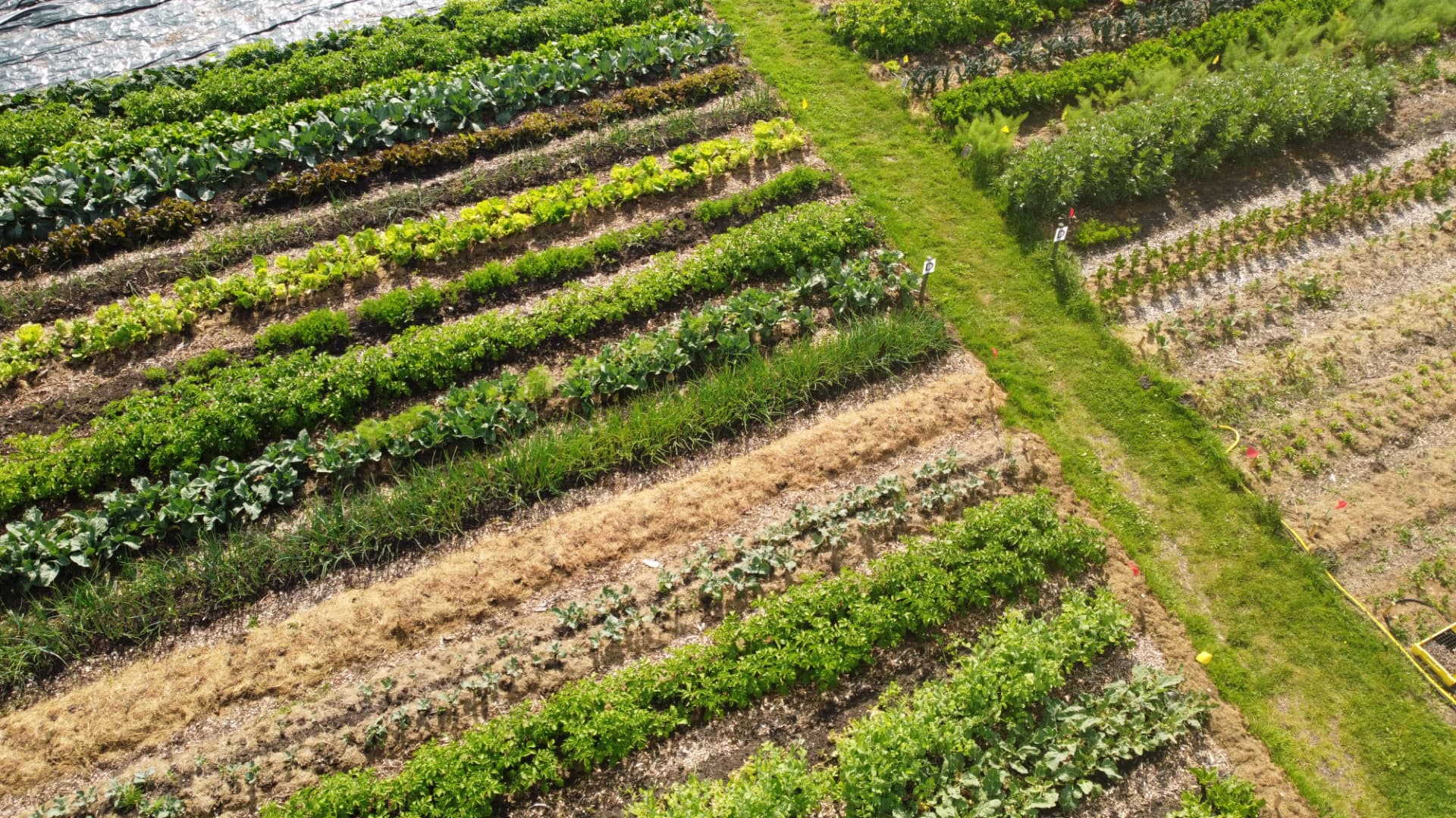 Groentetuin & keuken op het erf