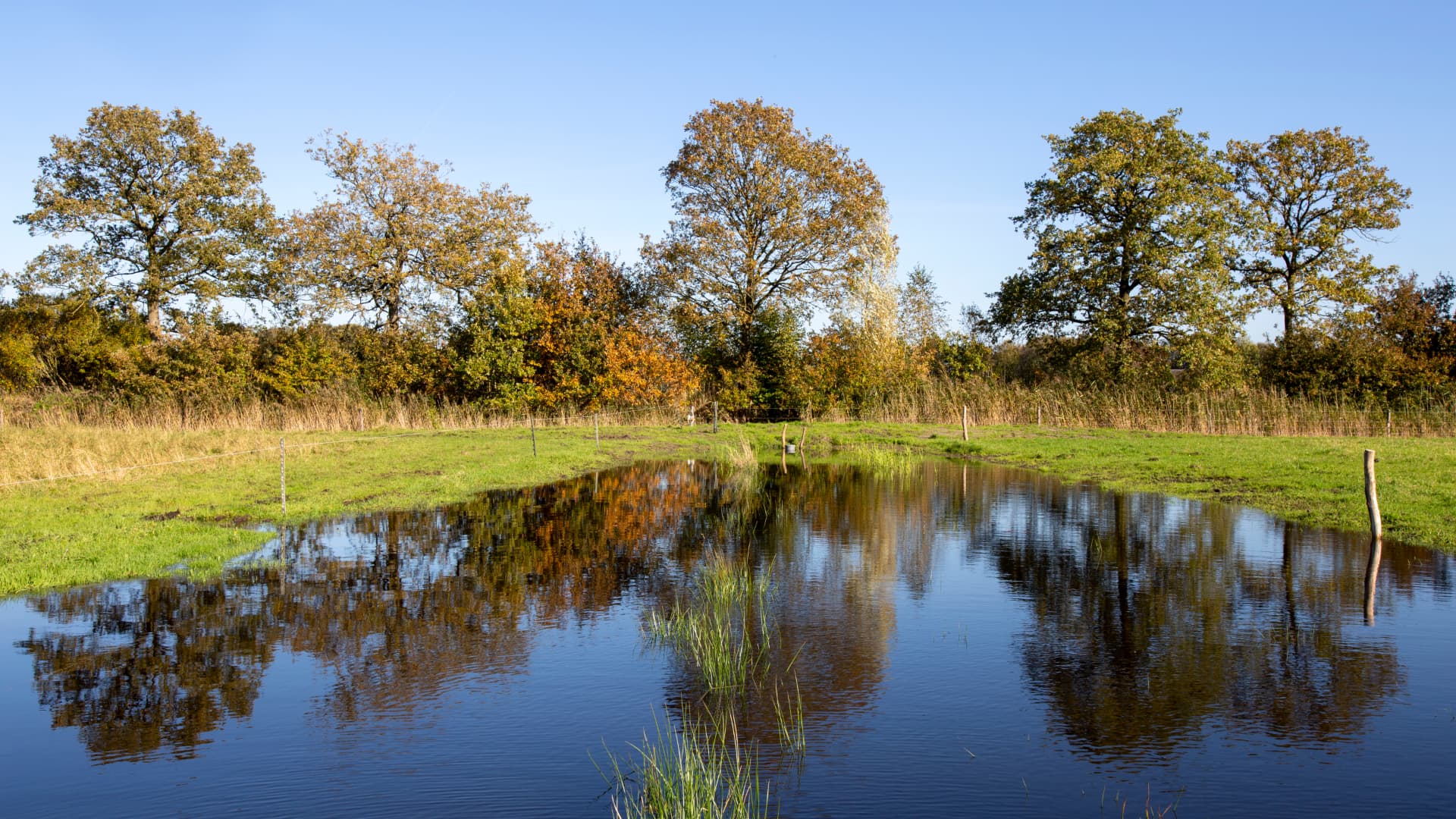 Het waterproject